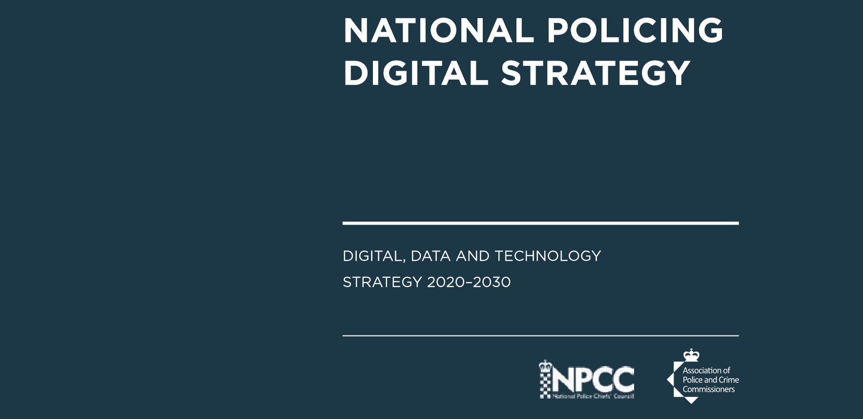 Digital Strategy 2020