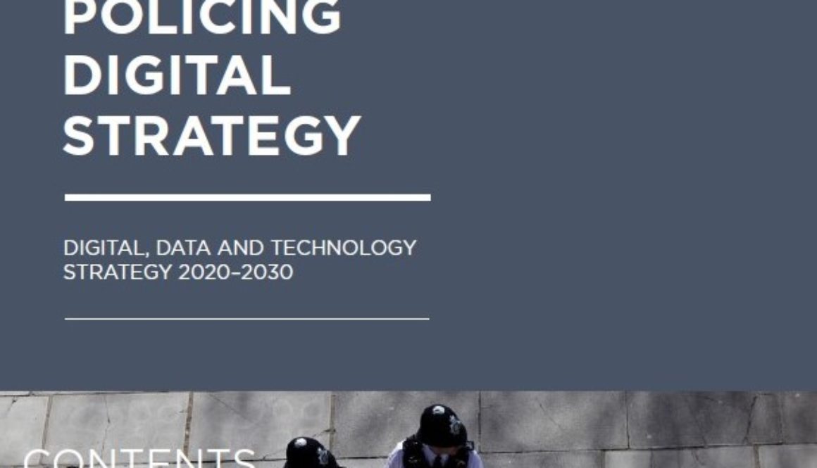 Front cover of DDaT Strategy