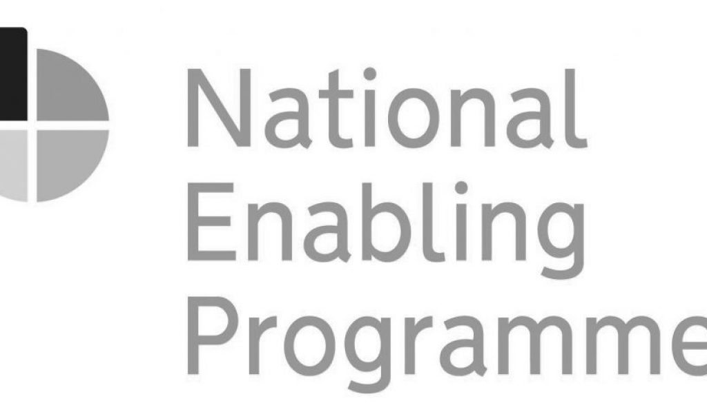 NEP Logo in grey