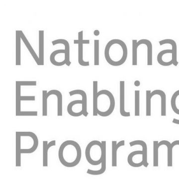 NEP Logo in grey