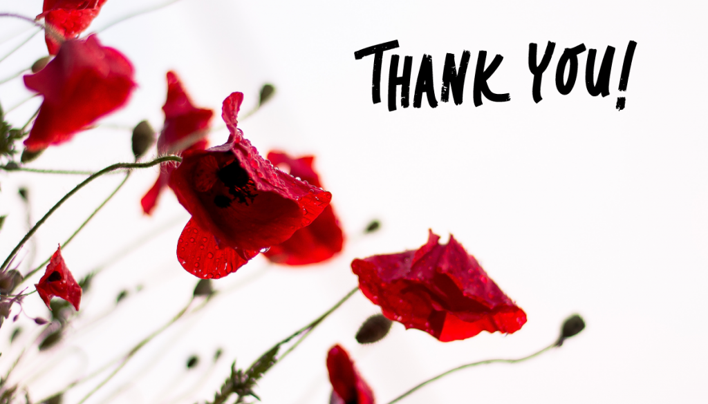 Red poppies and white background with the phrase 'Thank you'