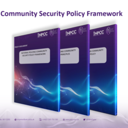Copy of a slide from the presentation showing three mocked up documents which support the Cyber Security Approach