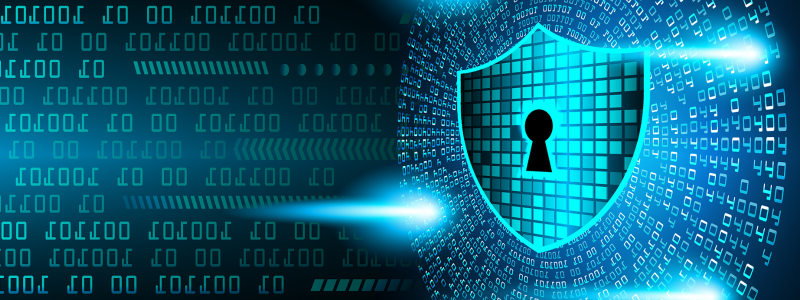 Digital shield
