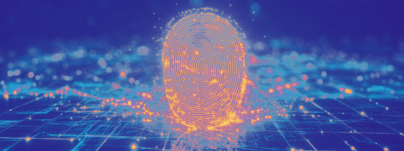 Digital fingerprint