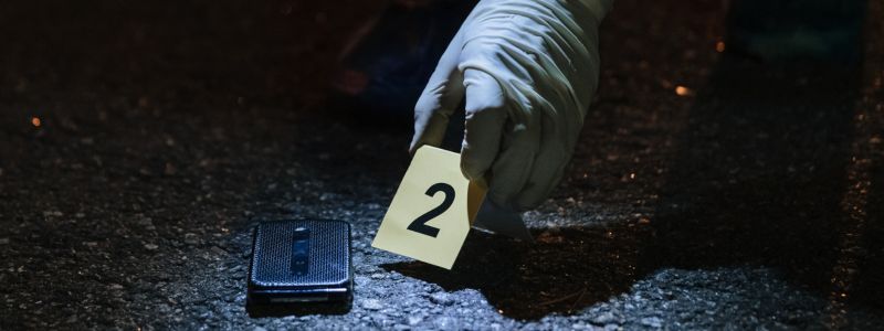 Hand cataloguing evidence