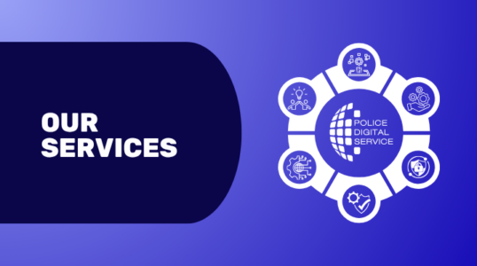 PDS Services graphic 